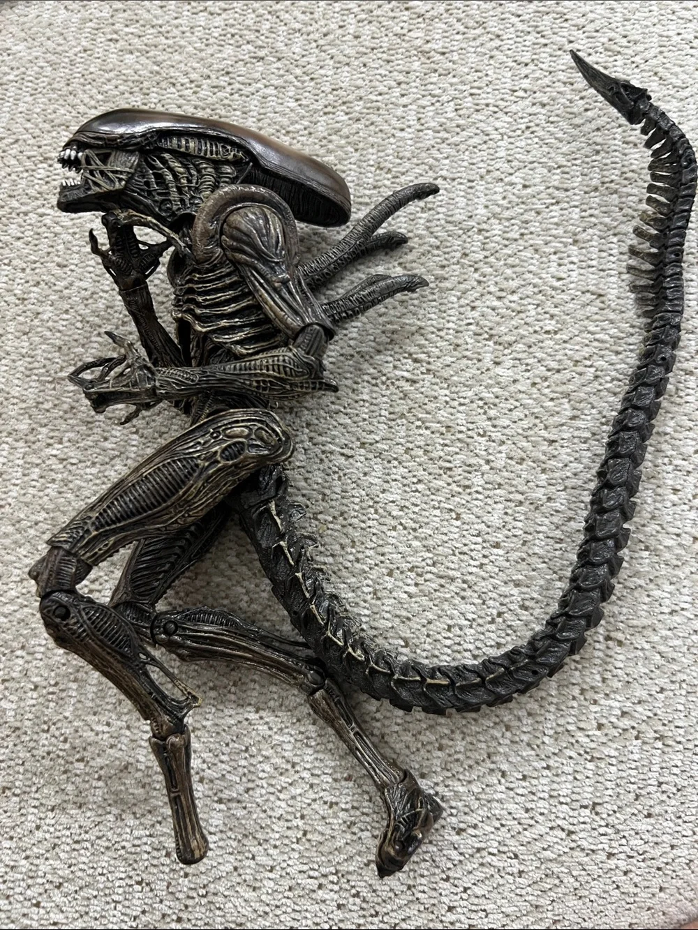 Neca Alien Resurrection Xenomorph Warrior Figure Predator